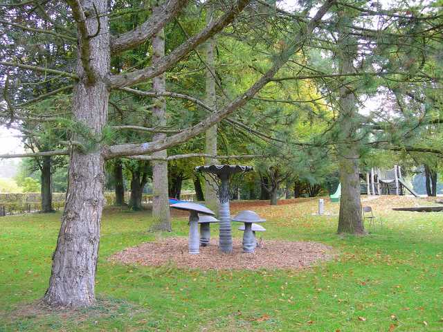 2005 :  Un anno di funghi